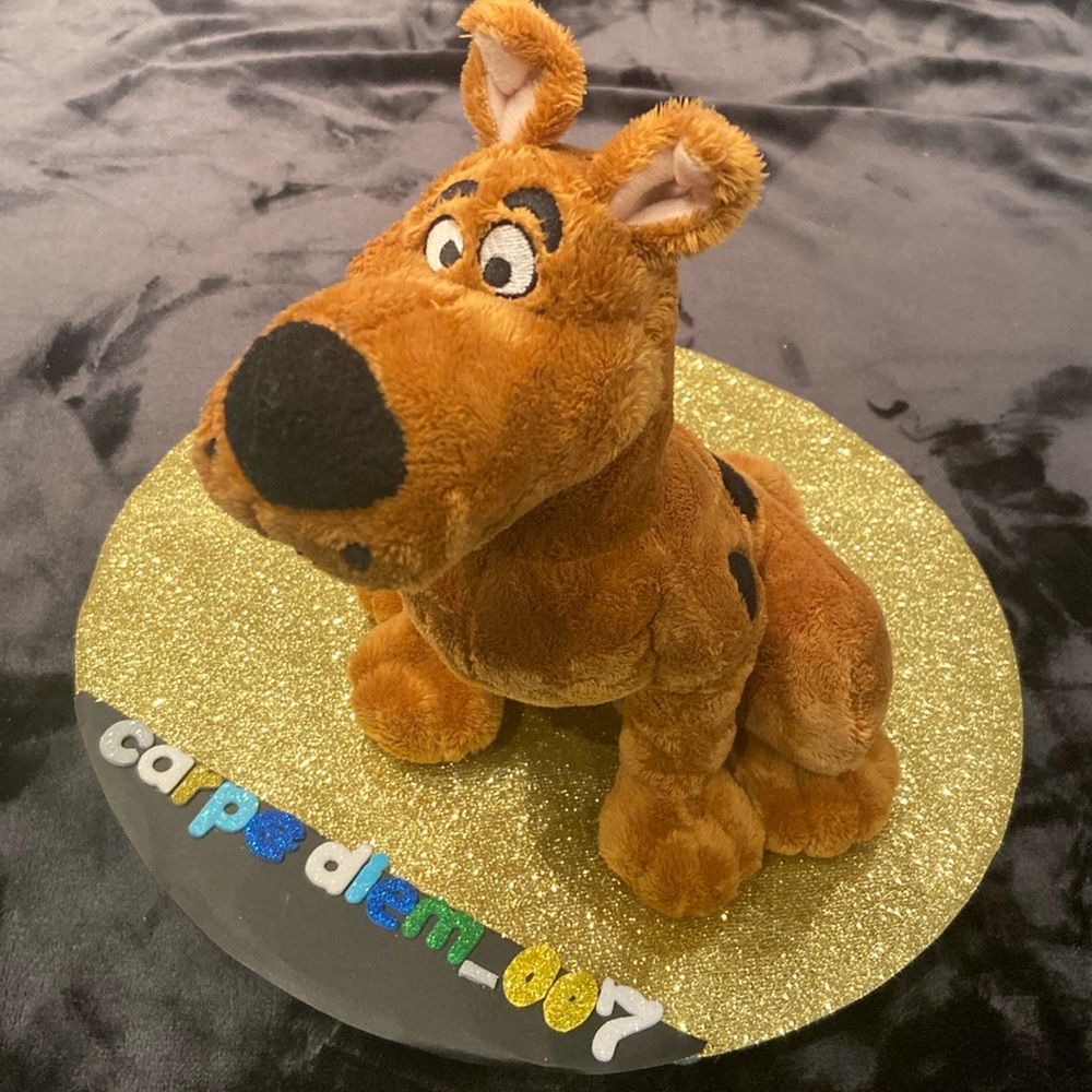 Beautiful Scooby Doo Plush Stuffed Animal SixFlags 10’’ Toy